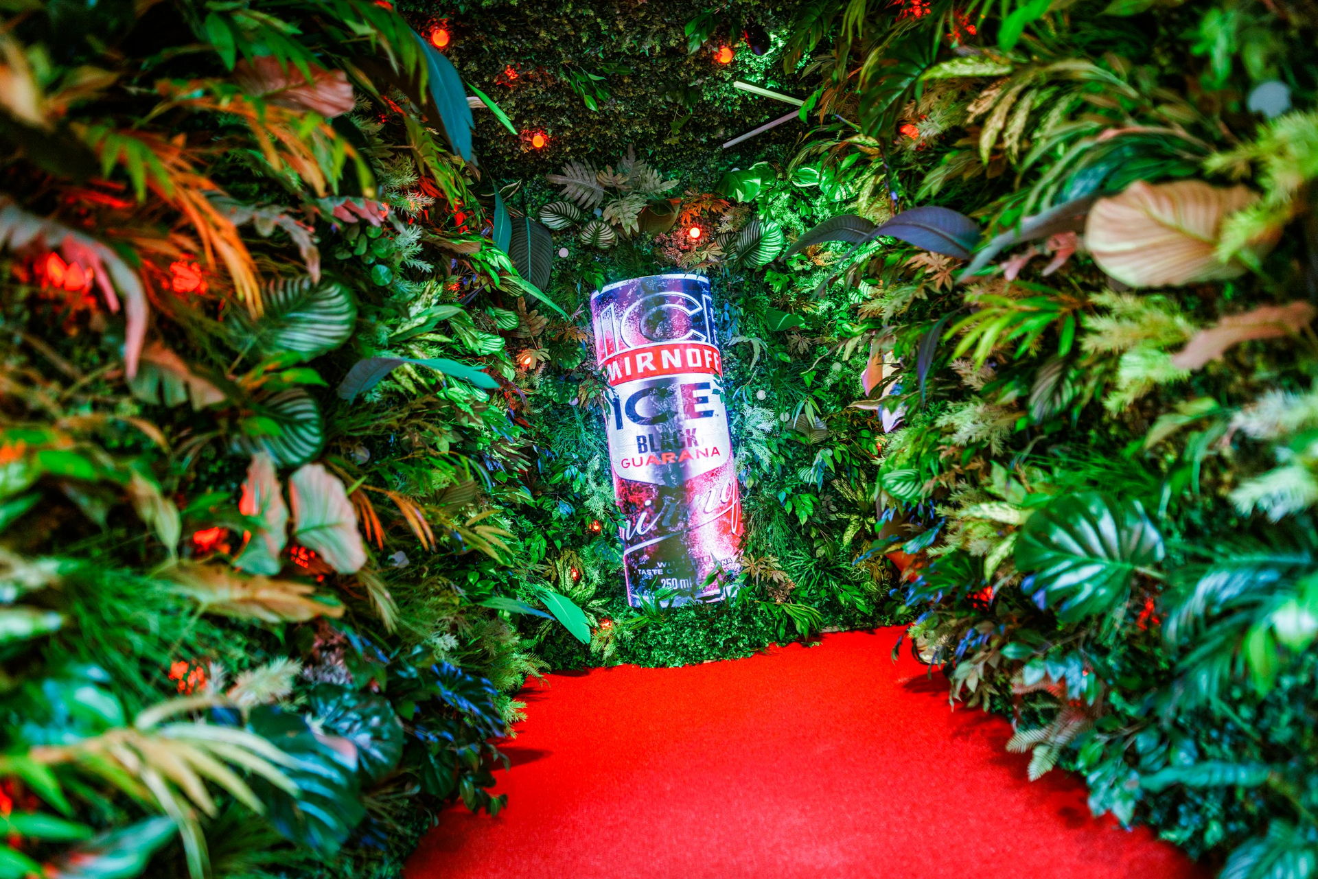 Smirnoff Ice × Break the Ice, foto 4