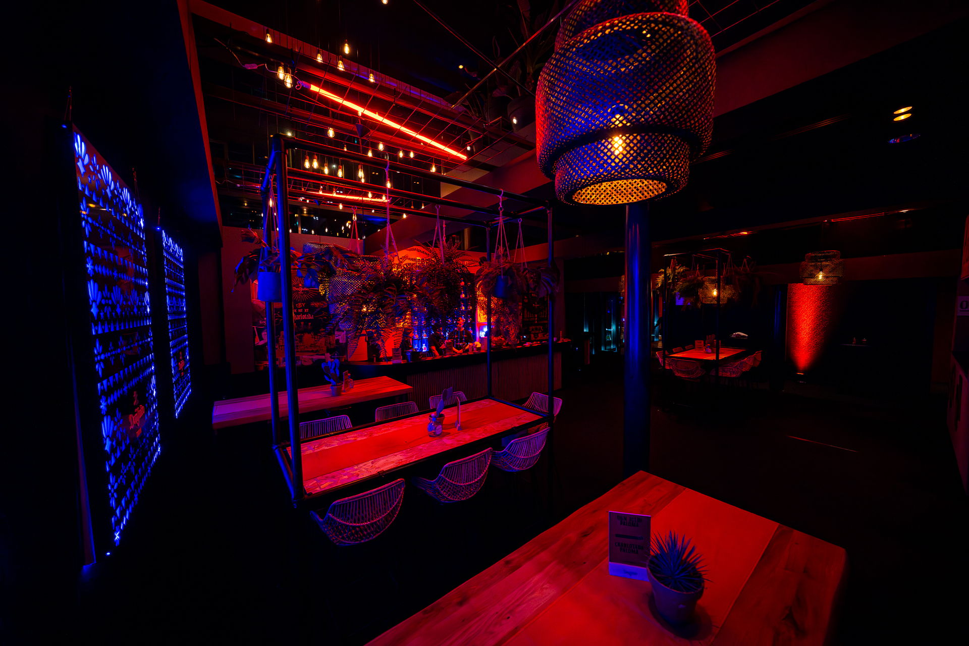 Don Julio × Charlotte de Witte, foto 7